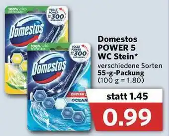 Combi Domestos Power 5 Wc Stein Angebot