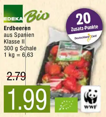 Marktkauf Edeka Bio Erdbeeren 300g Angebot