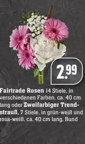 Edeka Fairtrade Rosen Oder Zweifarbiger Trendstrauß Angebot