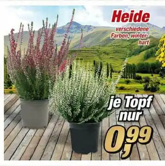 Posten Börse Heide Angebot