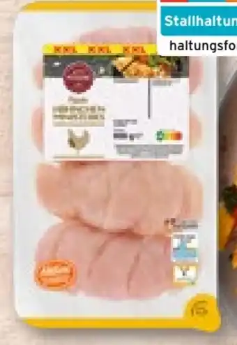 Aldi Nord Hähnchen-ministeaks xxl Angebot