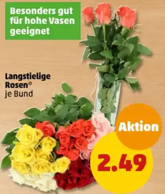 PENNY Langstielige Rosen Angebot