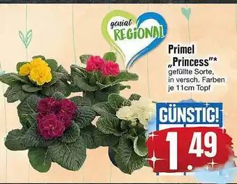 Edeka Primel ,,Princess" Angebot