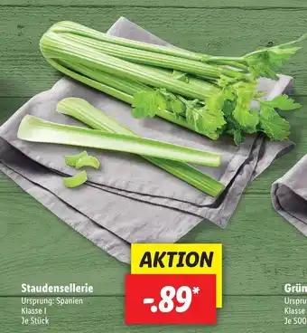 Lidl Staudensellerie Angebot