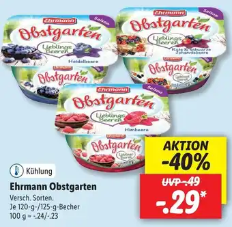 Lidl Ehrmann Obstgarten 120/125g Becher Angebot