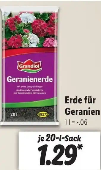 Lidl Erde für Geranien 20L Angebot