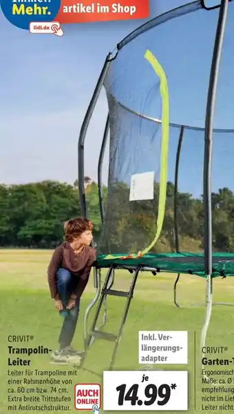 Lidl Crivit Trampolin Leiter Angebot