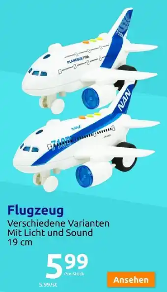 Action Flugzeug Angebot