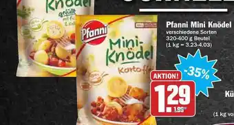 Hit Pfanni Mini Knödel Angebot