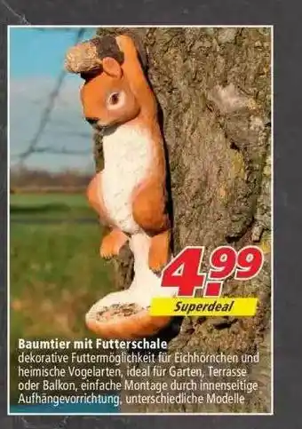 Marktkauf Baumtier Mit Futterschale Angebot