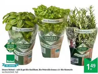 Marktkauf Unsere Heimat - Echt & Gut Bio-basilikum Bio-petersilie Krauss Oder Bio-rosmarin Angebot