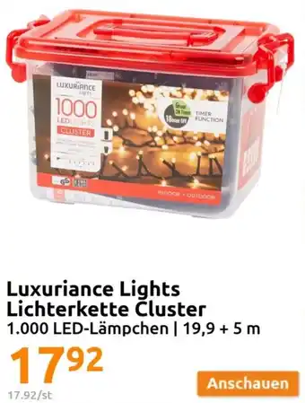 Action Luxuriance Lights Lichterkette Cluster 1.000 LED-Lämpchen Angebot