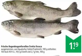 Marktkauf Frische Regenbogenforellen Trotta Fresca Angebot