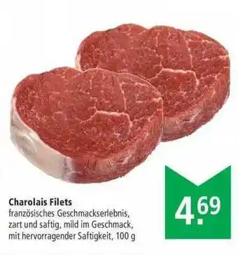 Marktkauf Charolais Filets Angebot