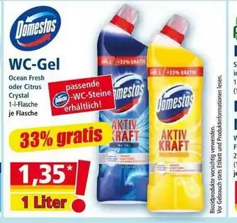 Norma Domestos Wc-gel Angebot