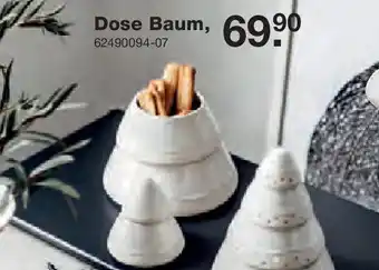 Möbel Schulenburg Dose Baum Angebot