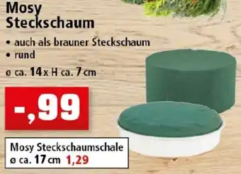Thomas Philipps Mosy Steckschaum Angebot