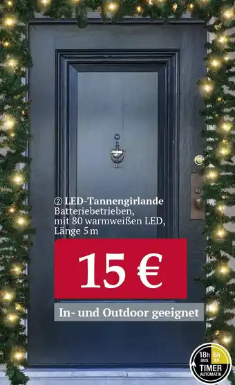 Woolworth LED-Tannengirlande Angebot