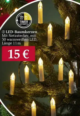 Woolworth LED-Baumkerzen Angebot