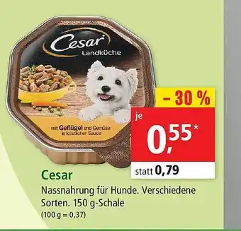 Fressnapf Cesar Angebot