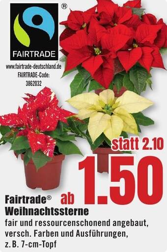 B1 Discount Baumarkt Fairtrade Weihnachtssterne Angebot