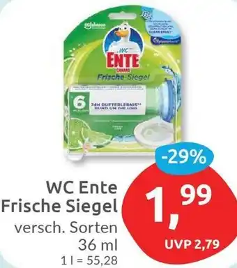 Budni WC Ente Frische Siegel 36 ml Angebot