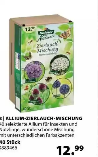 Dehner Allium-zierlauch-mischung Angebot