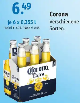 Gefako Corona Extra 6 x 0,355 L Angebot