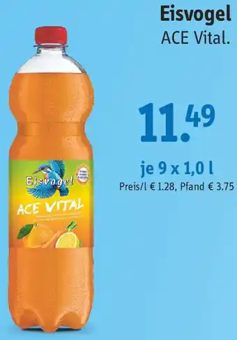 Gefako Eisvogel ACE Vital 9 x 1,0 L Angebot