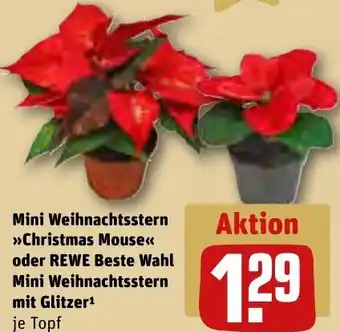 REWE Mini Weihnachtsstern Christmas Mouse oder REWE Beste Wahl Mini Weihnachtsstern mit Glitzer Angebot