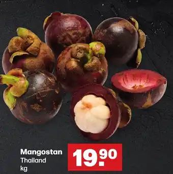 Handelshof Mangostan kg Angebot