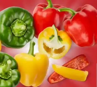 Aldi Nord Gemüsepaprika-mix Angebot