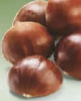 Netto Marken-Discount Maronen esskastanien Angebot