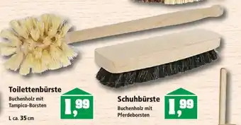 Thomas Philipps Toilettenbürste Angebot