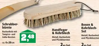 Thomas Philipps Schrubberbürste Angebot