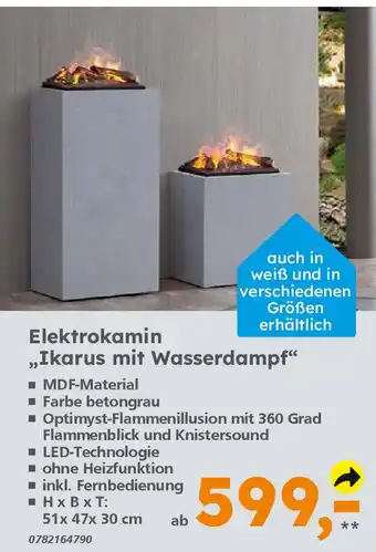 Globus Baumarkt Elektrokamin „Ikarus mit Wasserdampf" Angebot