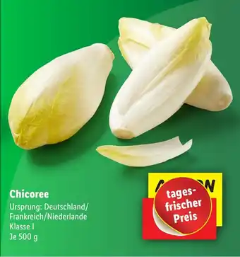 Lidl Chicoree 500 g Angebot