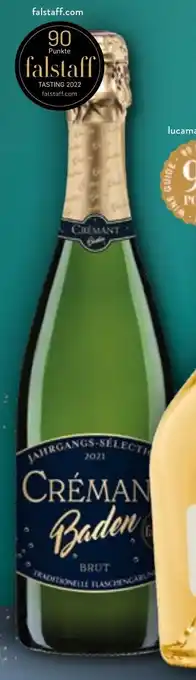 Aldi Nord JAHRGANGS-SÉLECTION Crémant Baden Brut 0,75 l Flasche Angebot