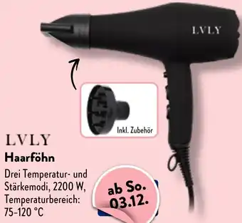 Aldi Nord LVLY Haarföhn Angebot