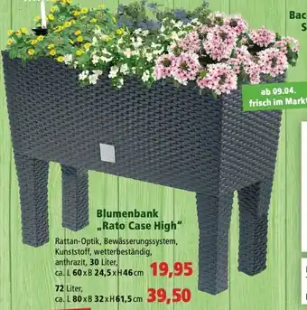 Thomas Philipps Blumenbank ,,Rato Case High" Angebot