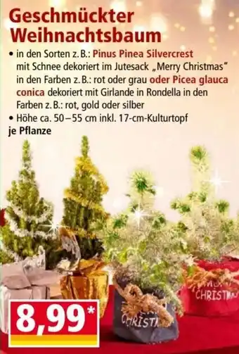 Norma Geschmückter Weihnachtsbaum Angebot