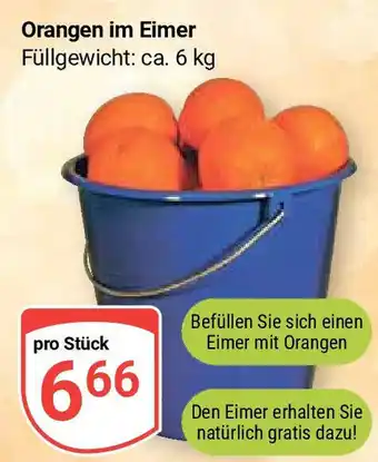 Globus Orangen im Eimer ca. 6 kg Angebot