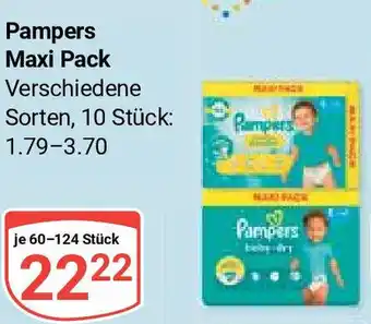 Globus Pampers Maxi Pack 60-124 Stück Angebot