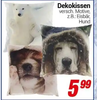 CENTERSHOP Dekokissen Angebot