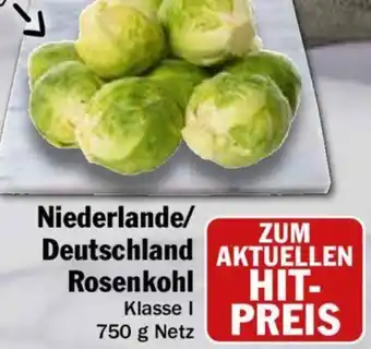 Hit Niederlande/ Deutschland Rosenkohl 750 g Netz Angebot