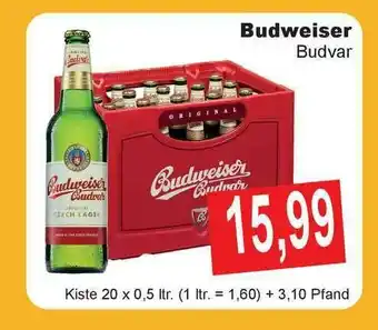 Getränke Göbel Budweiser Budvar Angebot