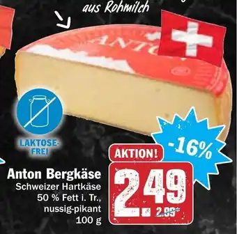 Hit Anton Bergkäse 100g Angebot