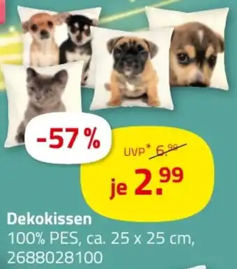 ROLLER Dekokissen Angebot