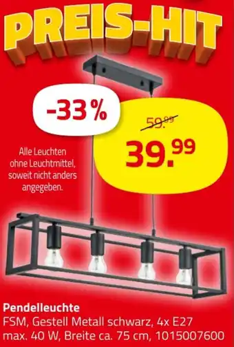 ROLLER Pendelleuchte Angebot