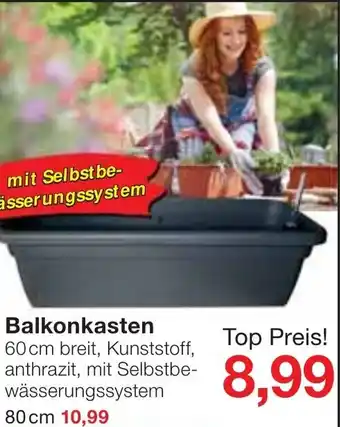 Jawoll Balkonkasten Angebot